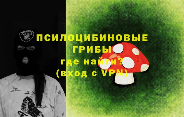 прущий лед Вяземский