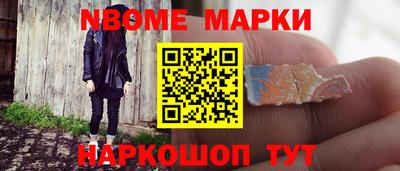стафф Кингисепп