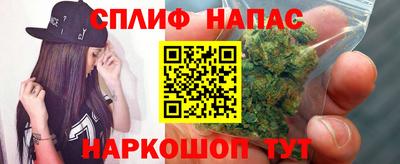 стафф Кингисепп