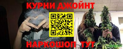 стафф Кингисепп