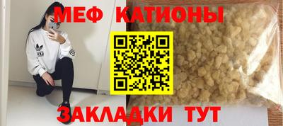 стафф Кингисепп