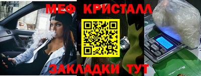 стафф Кингисепп