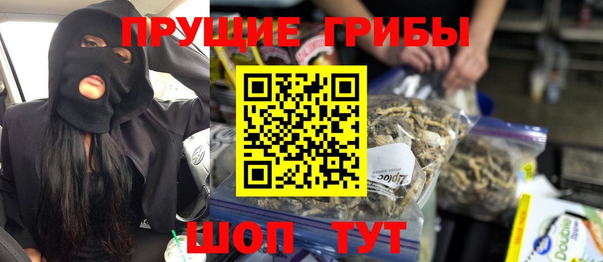 Псилоцибиновые грибы мицелий  Псилоцибиновые грибы Psilocybine cubensis  Лянтор  Вход с VPN 